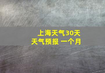 上海天气30天天气预报 一个月